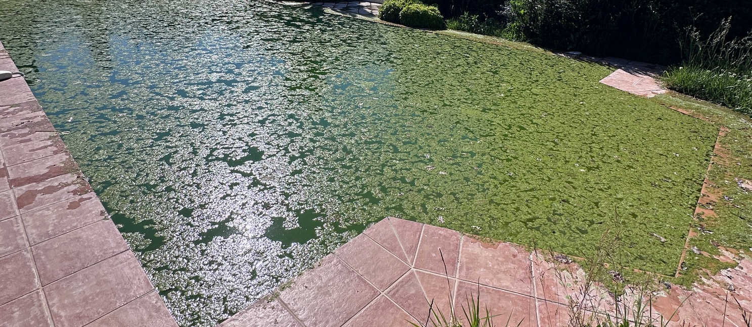 construction spa saint tropez