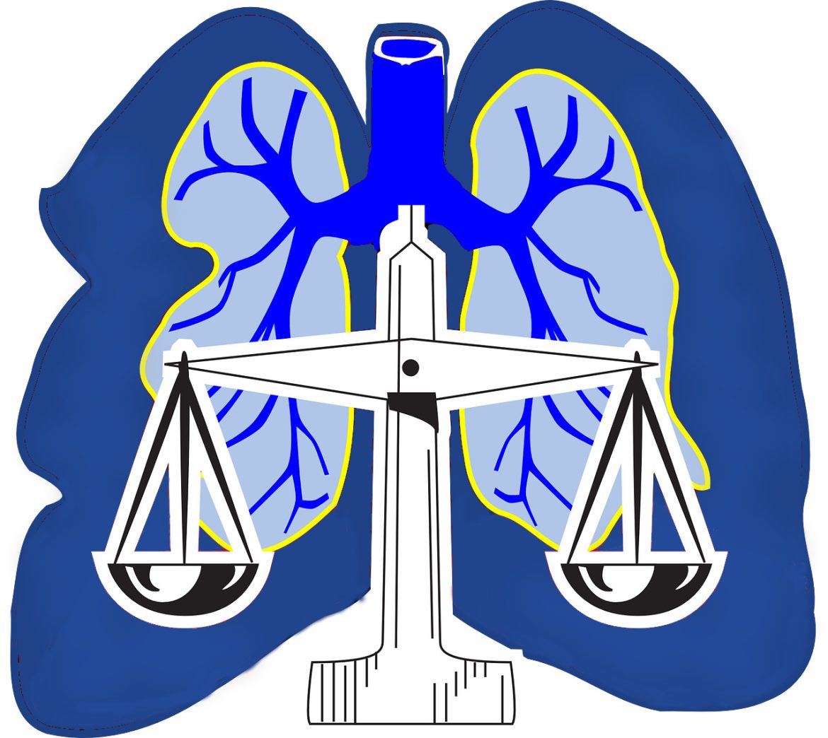 entretien piscine st tropez